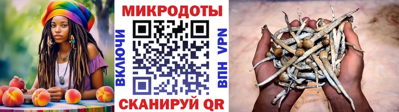Купить закладки  Великие Луки  Псилоцибиновые грибы GOLDEN TEACHER 